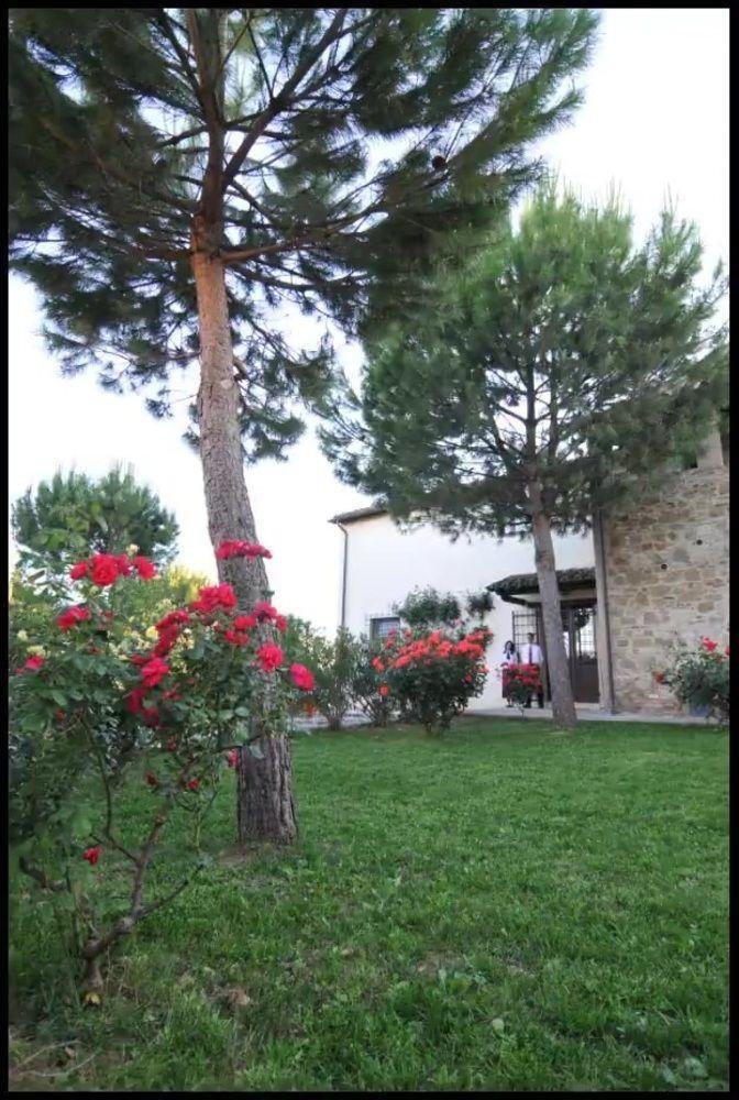 Agriturismo La Ginestrella Civitella D'Arna Exterior foto